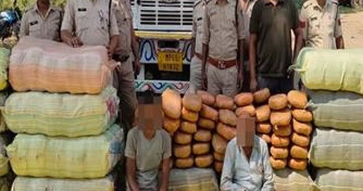 मध्यप्रदेश पुलिस की अवैध मादक पदार्थ के विरुद्ध बड़ी कार्रवाई
