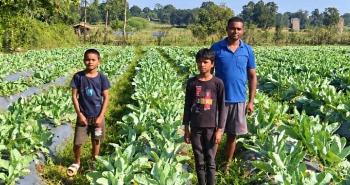 फूलगोभी की उन्नत खेती से प्रमोद सिंह को मिला 1.50 लाख रुपए का लाभ