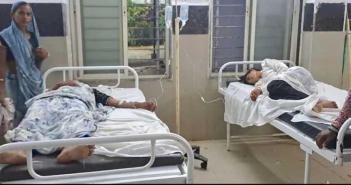 माता की मूर्ति विसर्जन यात्रा में मधुमक्खियों का हमला, मची भगदड़; 25 लोग घायल, 13 अस्पताल में भर्ती