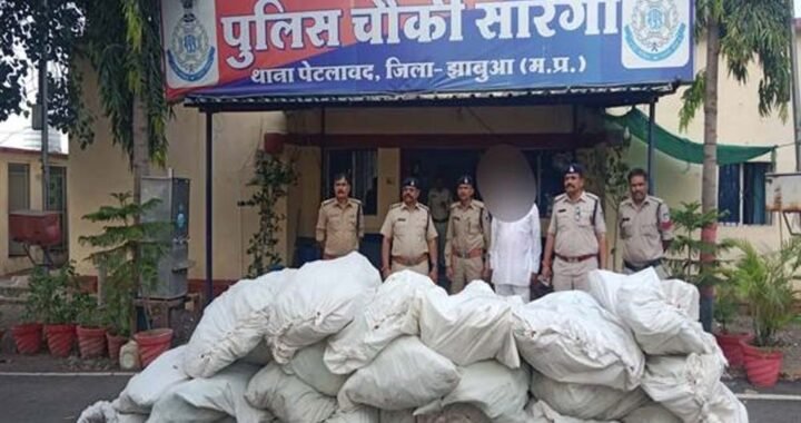 मध्यप्रदेश पुलिस की अवैध मादक पदार्थो के विरूद्ध बड़ी कार्रवाई