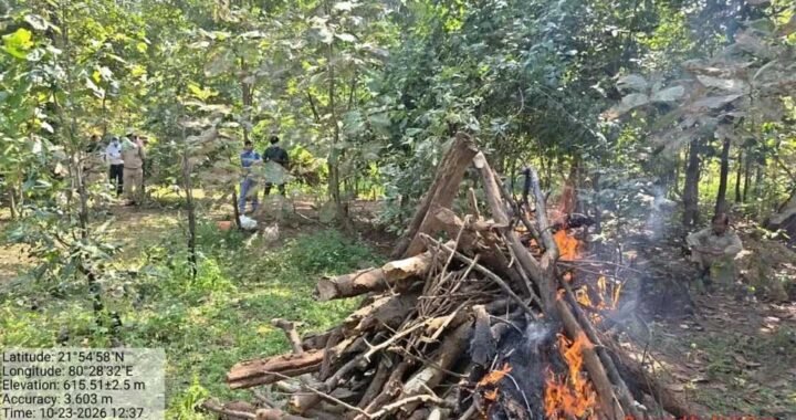दरिंदगी की हद पार: तेंदुए को करंट देकर मार डाला, फिर टंगिया से काट लिए चारों पंजे