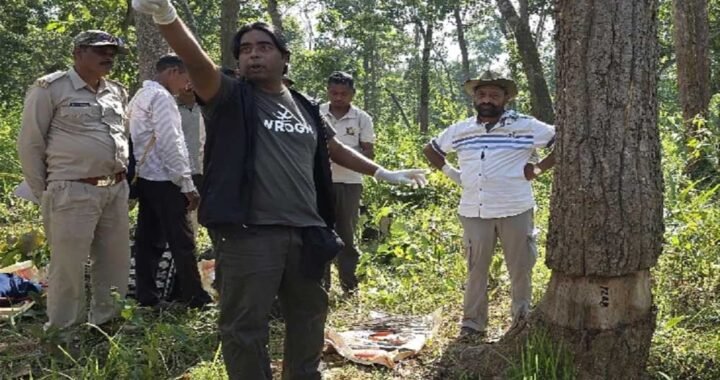 छत्तीसगढ़ के उदंती में 3500 पेड़ों को सुखाने की साजिश! बेंगलुरु से पहुंचे ट्री डॉक्टर ने संभाला मोर्चा